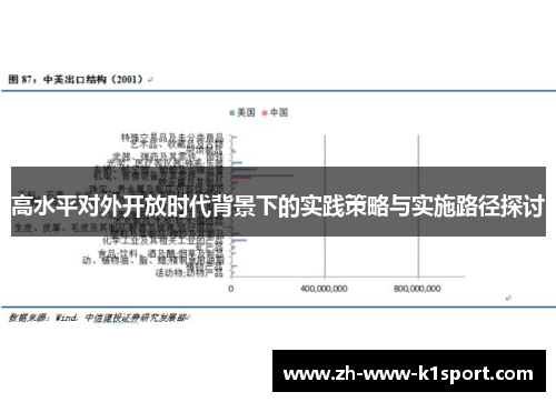 高水平对外开放时代背景下的实践策略与实施路径探讨
